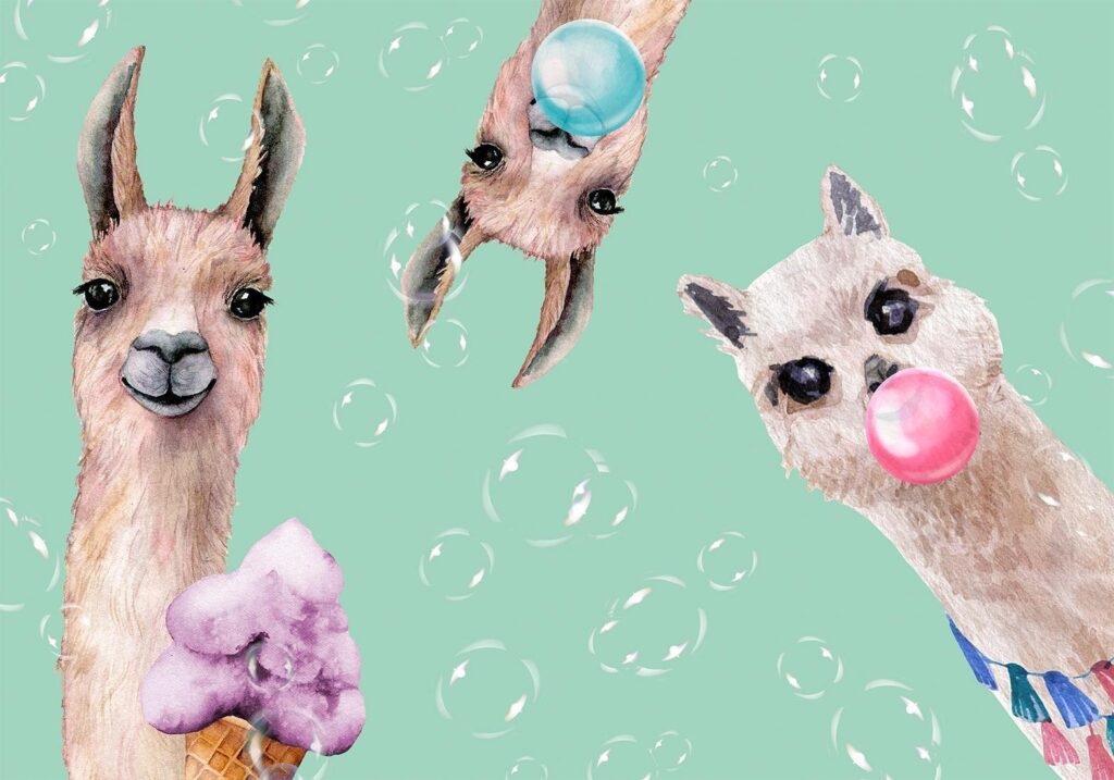 Fotobehang - Crazy Llamas