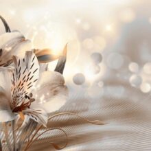 Fotobehang - Creamy motif - lily flowers in morning glow on striped background