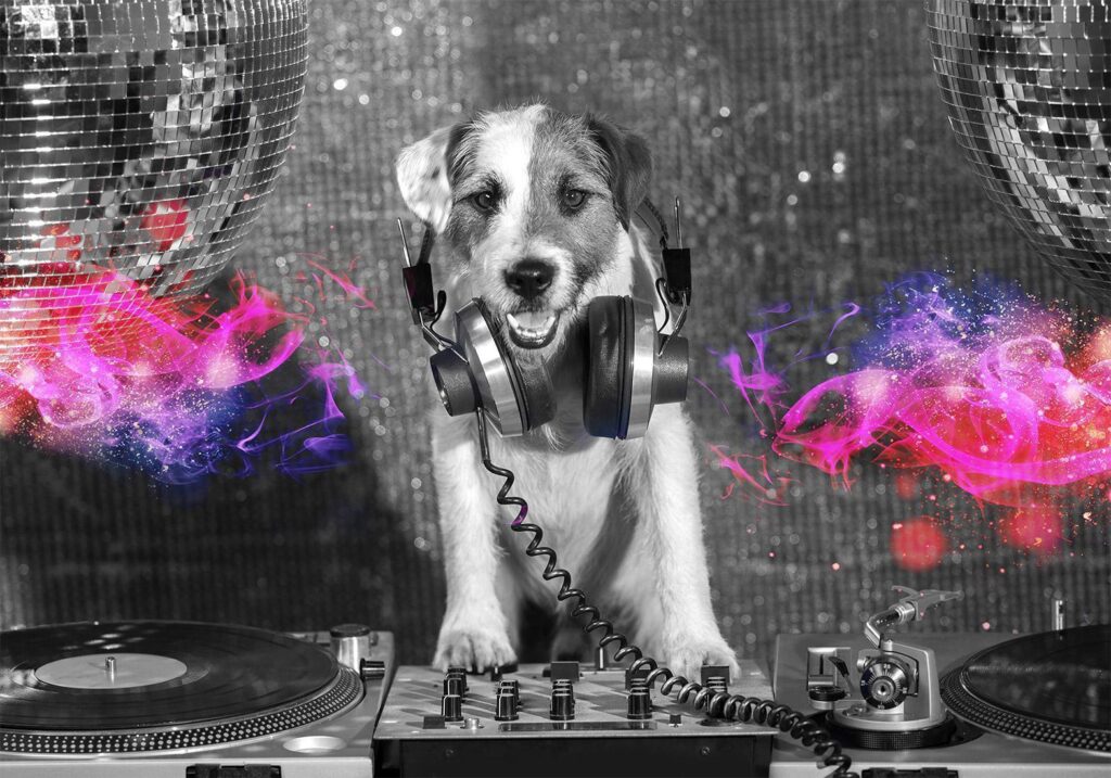 Fotobehang - DJ Dog