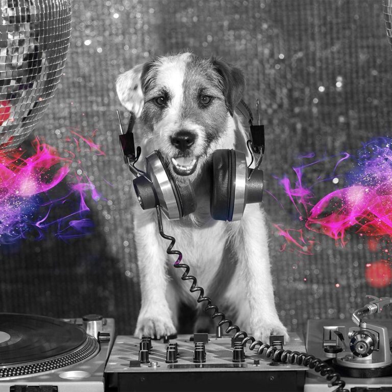 Fotobehang - DJ Dog