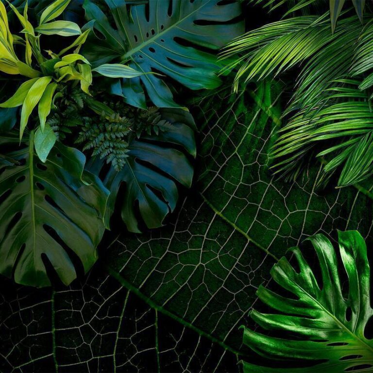 Fotobehang - Dark Jungle