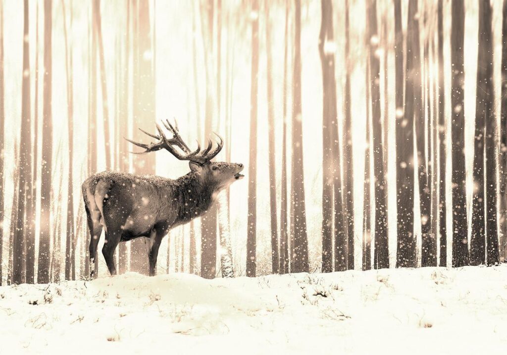 Fotobehang - Deer in the Snow (Sepia) - Afbeelding 2