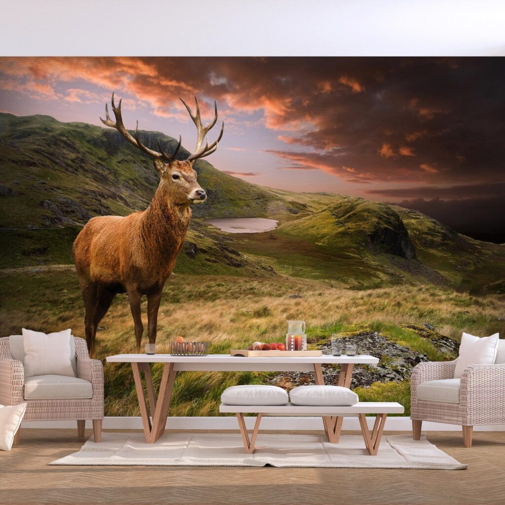 Fotobehang - Deer on Hill - Afbeelding 2