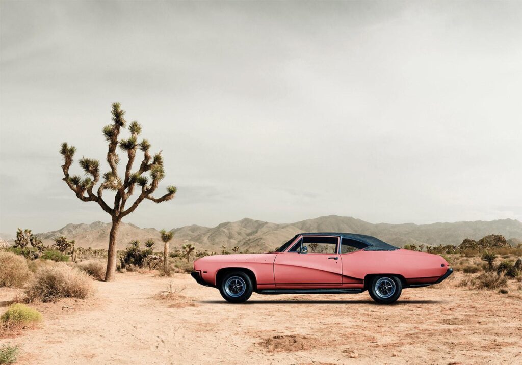 Fotobehang - Desert California - Afbeelding 2