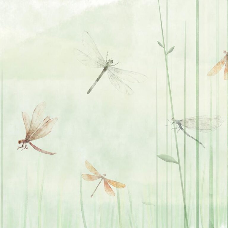 Fotobehang - Dragonflies in the Meadow