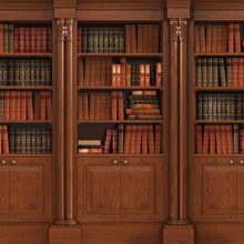 Fotobehang - Elegant Library