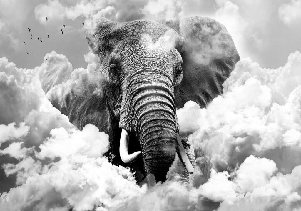 Fotobehang - Elephant in the Clouds (Black and White) - Afbeelding 2