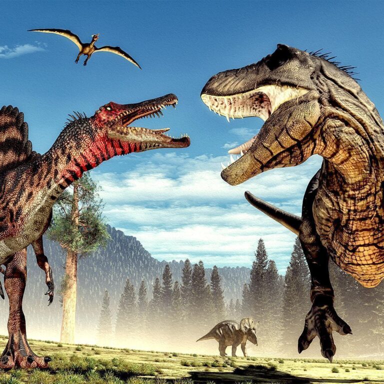Fotobehang - Fighting Dinosaurs