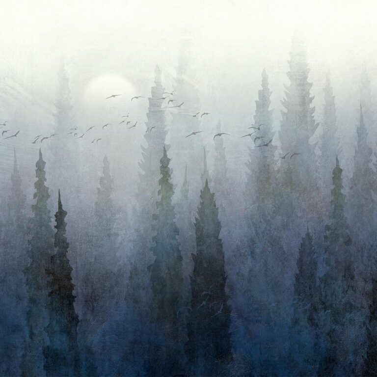 Fotobehang - Flight Over the Forest - Second Variant