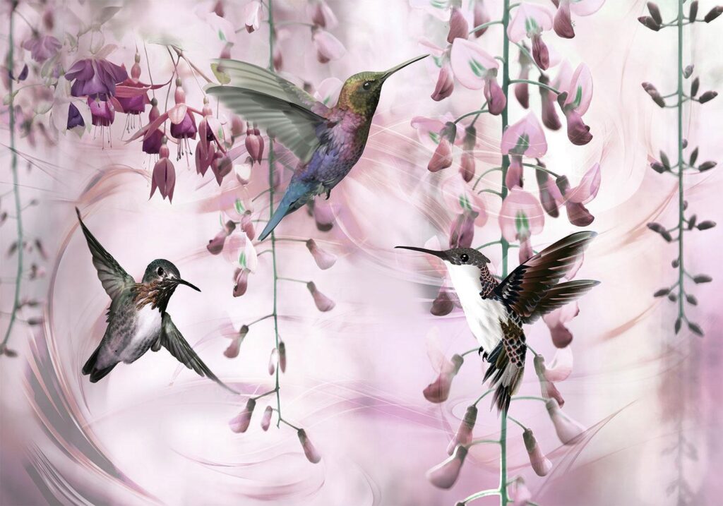 Fotobehang - Flying Hummingbirds (Pink)