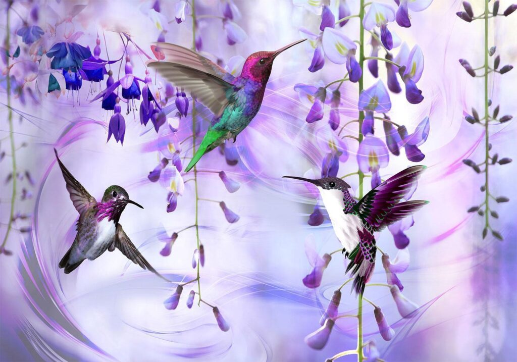 Fotobehang - Flying Hummingbirds (Violet)