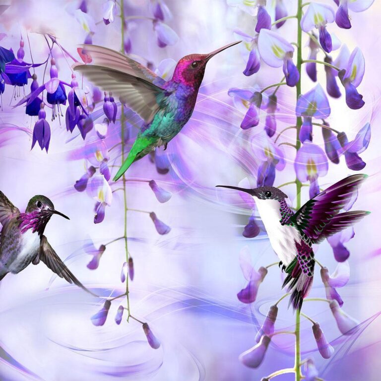 Fotobehang - Flying Hummingbirds (Violet)