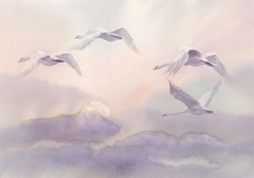 Fotobehang - Flying Swans