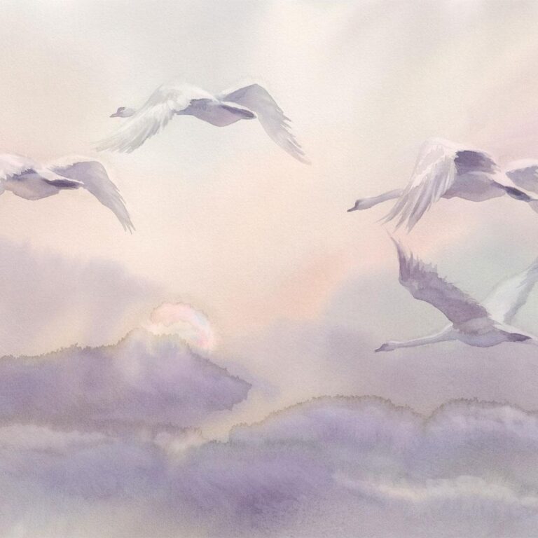 Fotobehang - Flying Swans
