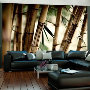 Fotobehang - Fog and bamboo forest