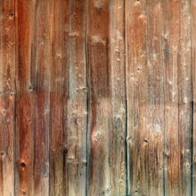 Fotobehang - Forest Cottage