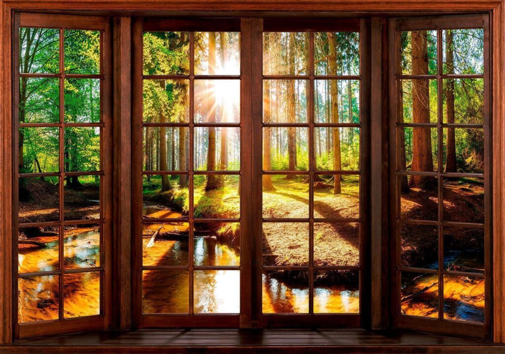 Fotobehang - Forest Terrace
