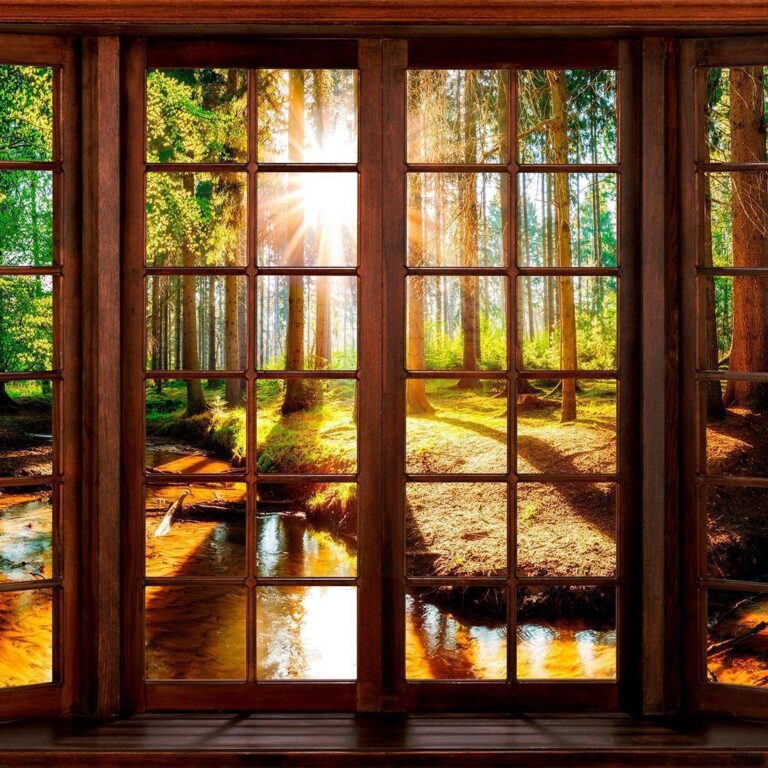Fotobehang - Forest Terrace