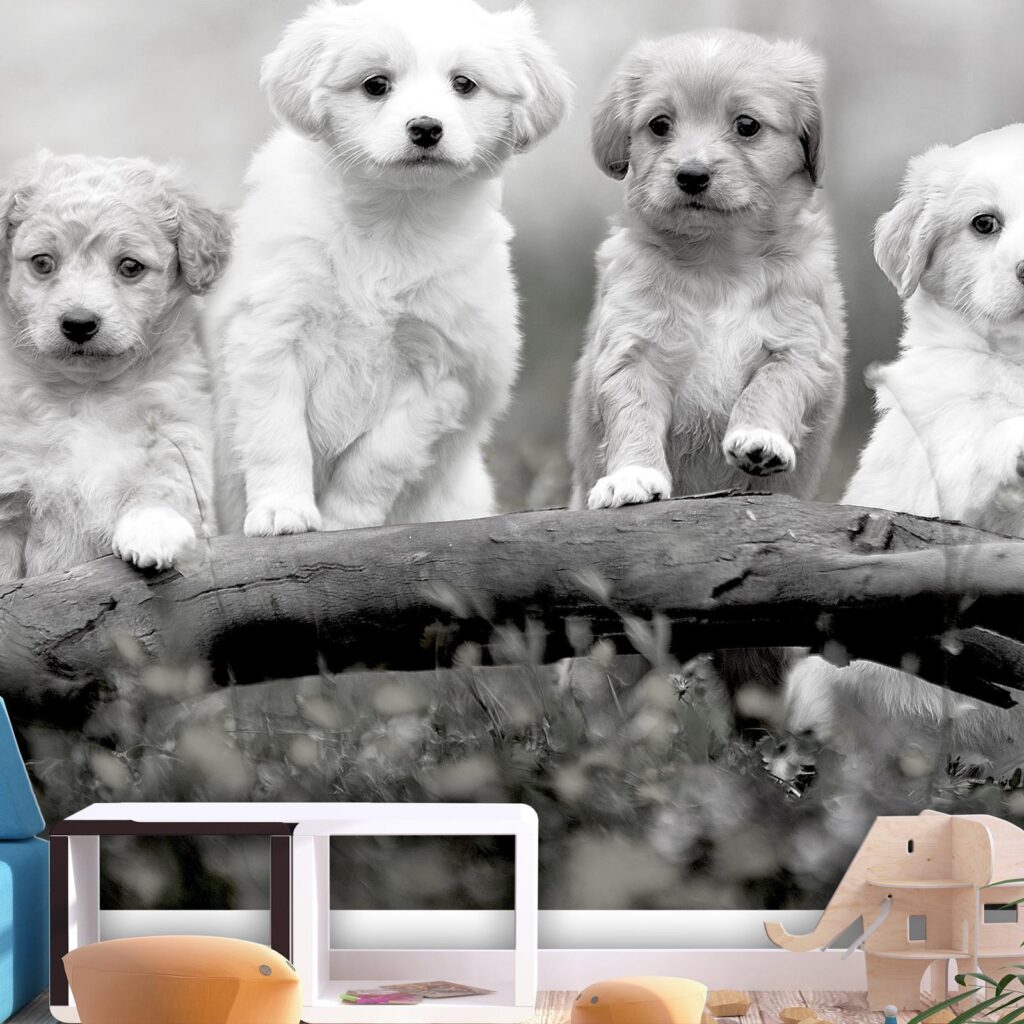 Fotobehang - Four Puppies - Afbeelding 2