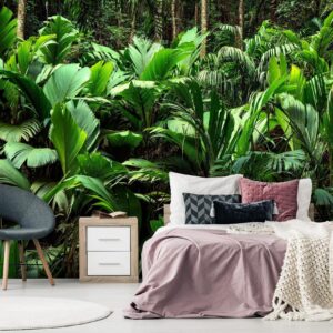 Fotobehang - Freshness of the Jungle