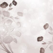 Fotobehang - Gentleness of Flowers