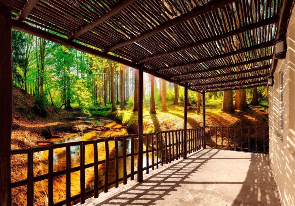 Fotobehang - Getting Back to Nature