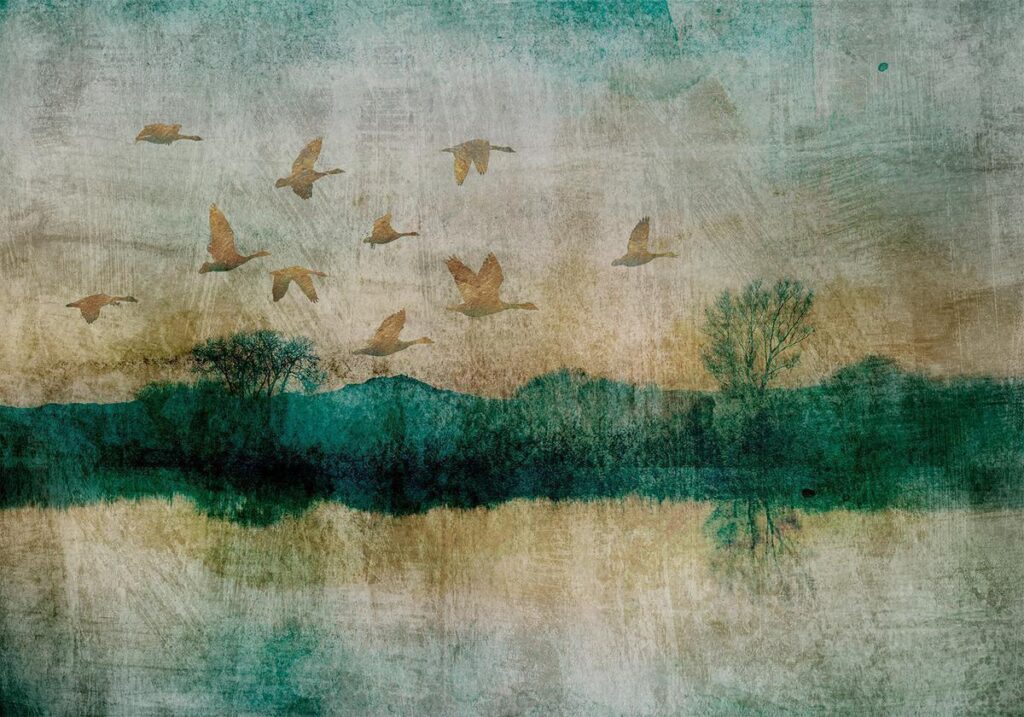 Fotobehang - Golden Ducks - Afbeelding 2
