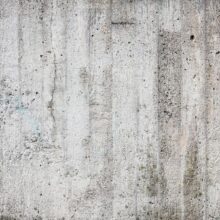 Fotobehang - Grey Emperor