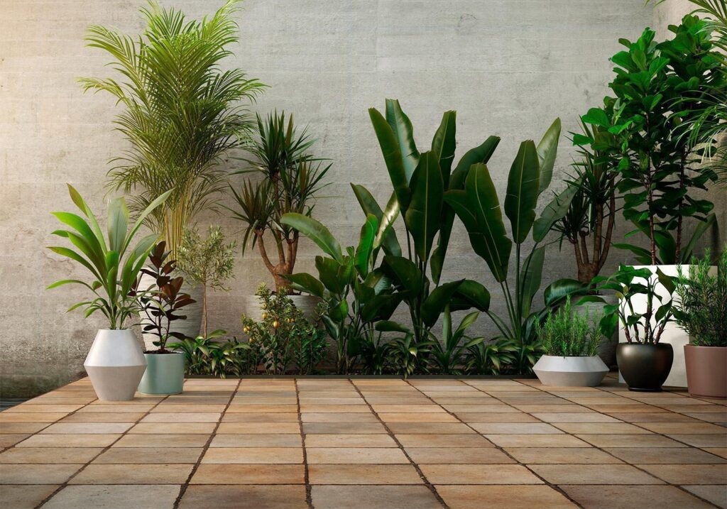 Fotobehang - Home Garden - Afbeelding 2