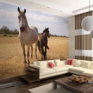 Fotobehang - Horse and foal