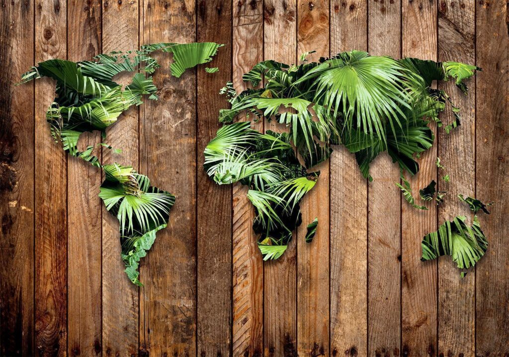 Fotobehang - Jungle of the World - Afbeelding 2