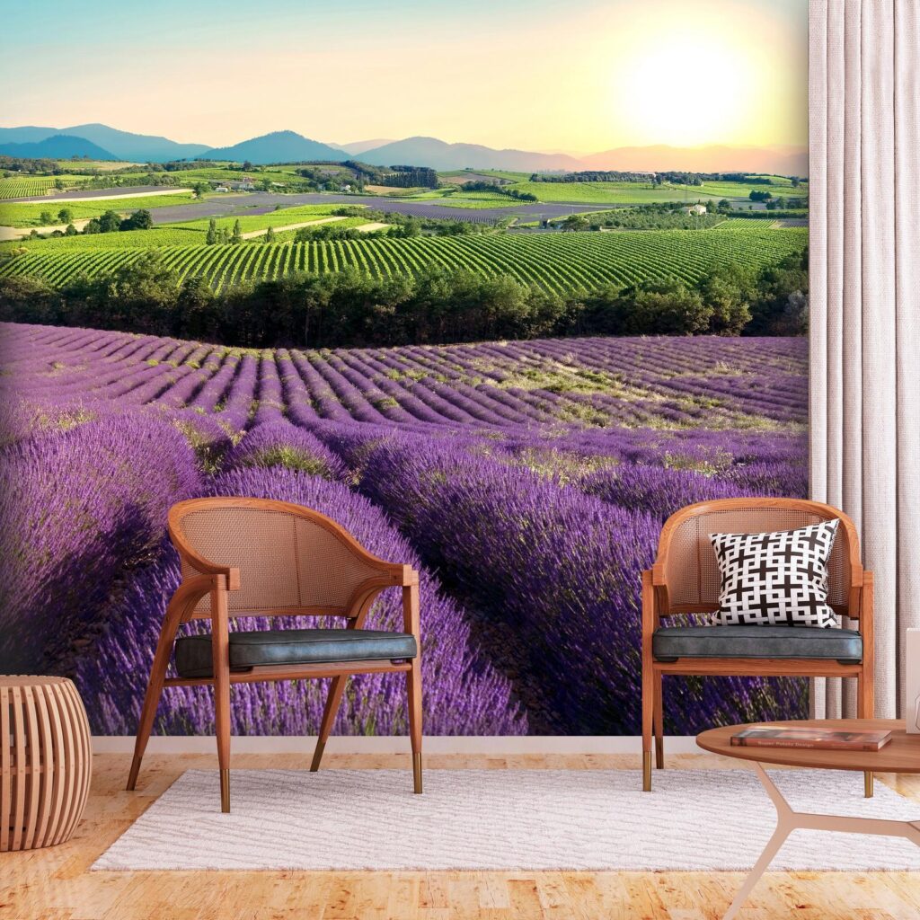 Fotobehang - Lavender Field - Afbeelding 2