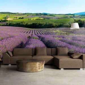 Fotobehang - Lavender fields
