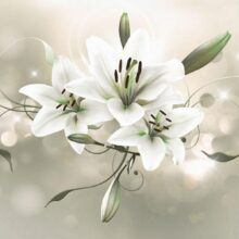 Fotobehang - Lily - Flower of Masters