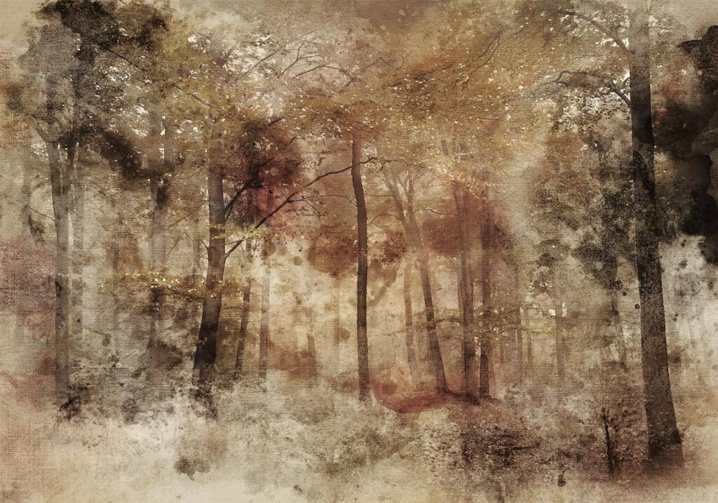 Fotobehang - Lost in the woods - Afbeelding 2