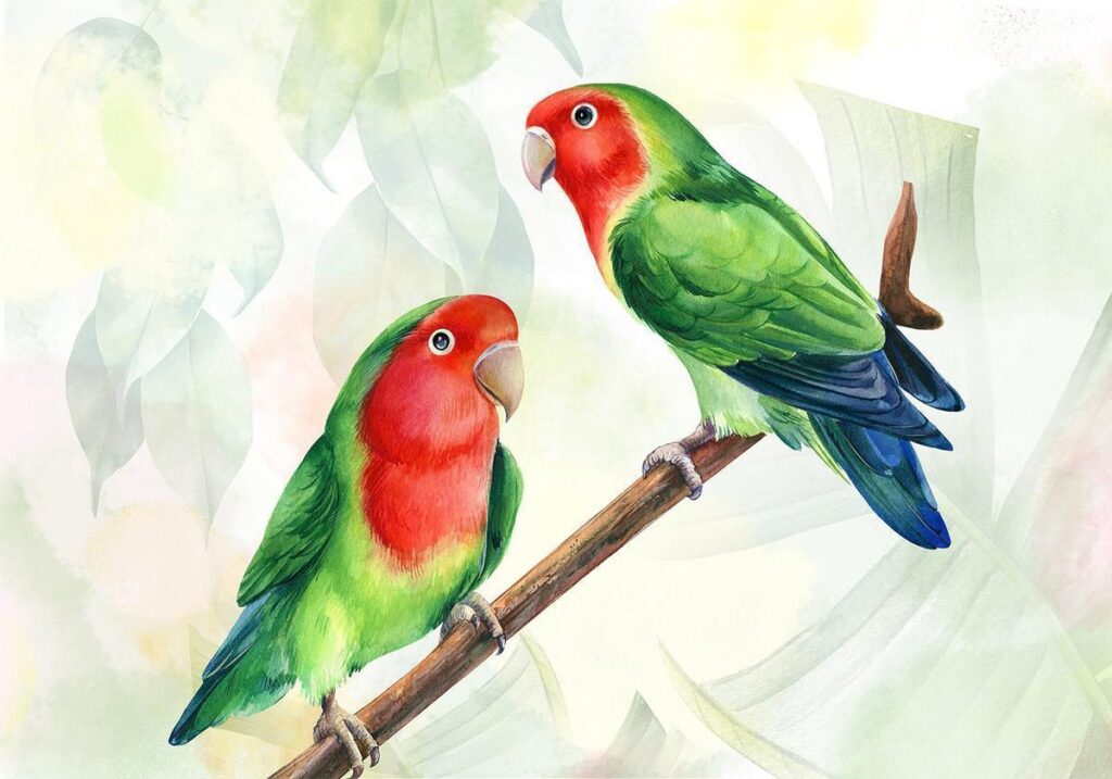 Fotobehang - Lovebirds - Afbeelding 2