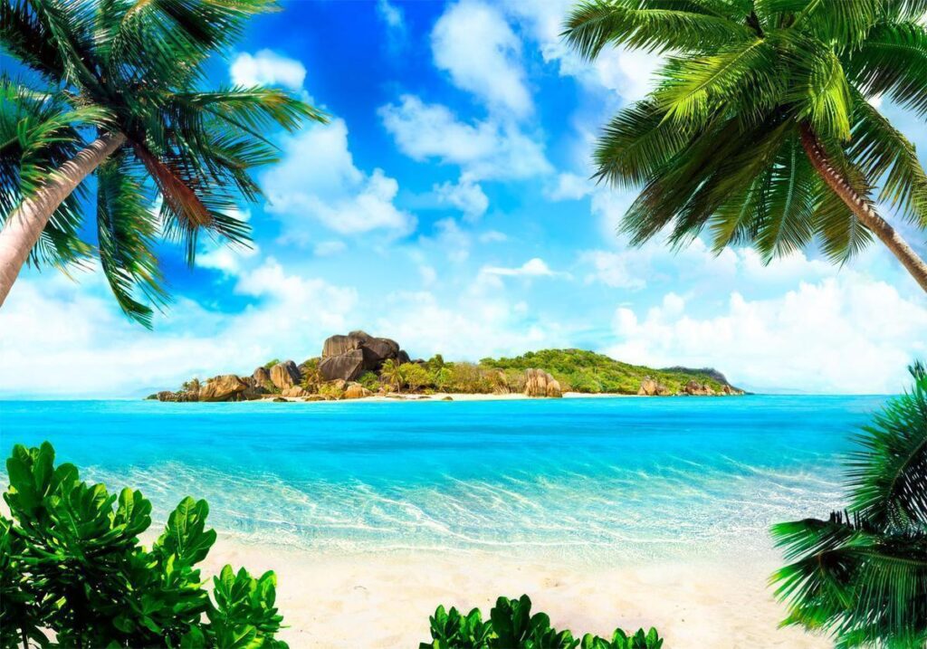 Fotobehang - Magical Coast