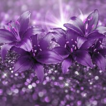Fotobehang - Masterpiece of Purple