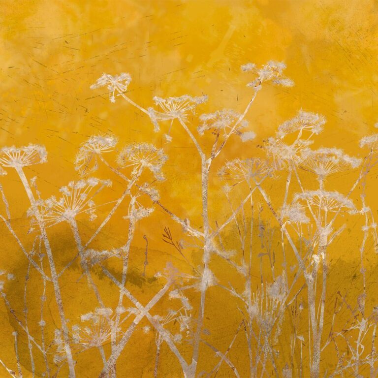 Fotobehang - Meadow Bathed in the Sun
