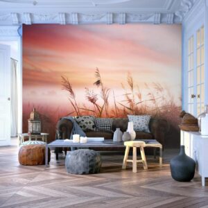 Fotobehang - Morning meadow