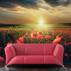 Fotobehang - Morning on the poppy meadow