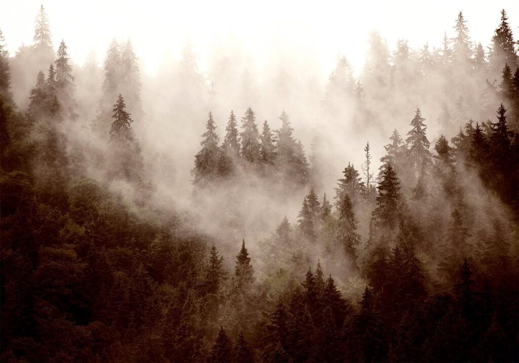 Fotobehang - Mountain Forest (Sepia) - Afbeelding 2