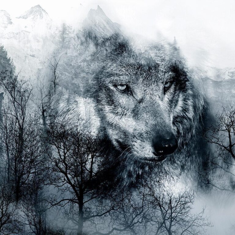Fotobehang - Mountain Predator (Black and White)
