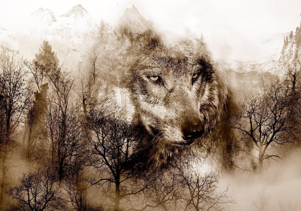Fotobehang - Mountain Predator (Brown)