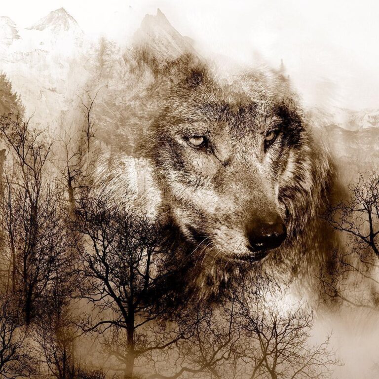 Fotobehang - Mountain Predator (Brown)