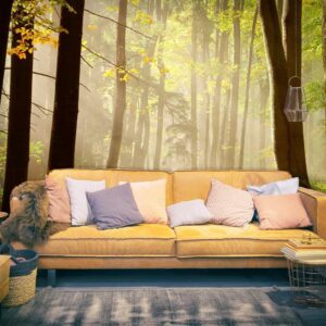 Fotobehang - Mysterious forest path