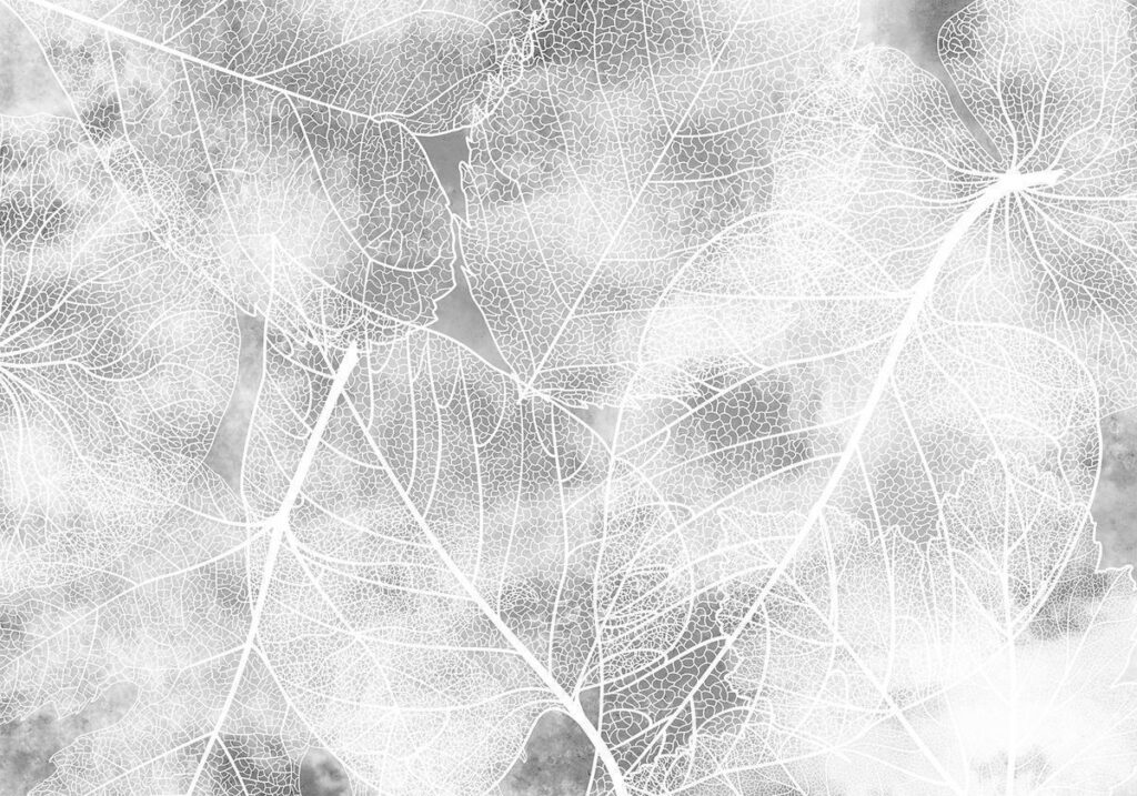Fotobehang - Nature in My Home - Third Variant - Afbeelding 2