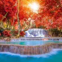 Fotobehang - Nature's Magic