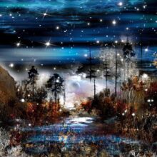 Fotobehang - Night in the forest