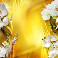 Fotobehang - Orchid in Gold